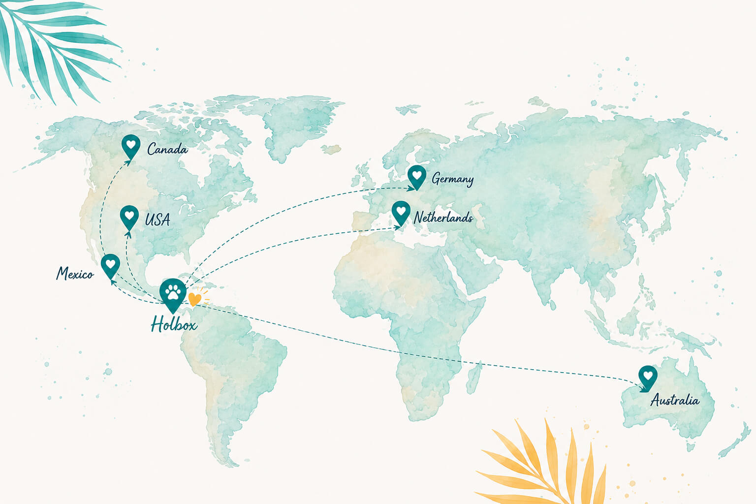 Refugio Animal Holbox Happy Endings World Map Refugio Animal Holbox Happy Endings World Map
