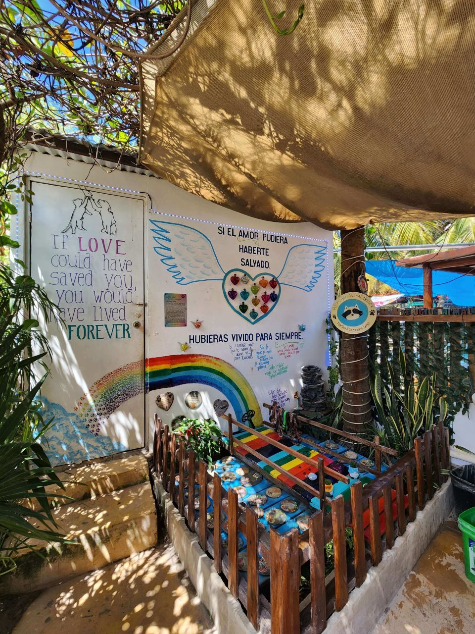 Refugio Animal Holbox Rainbow Bridge