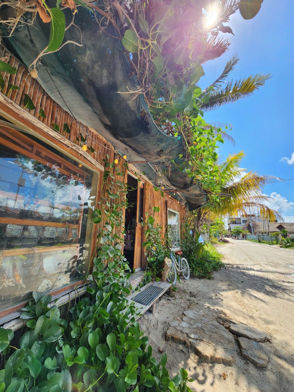Logo des Refugio Animal Holbox