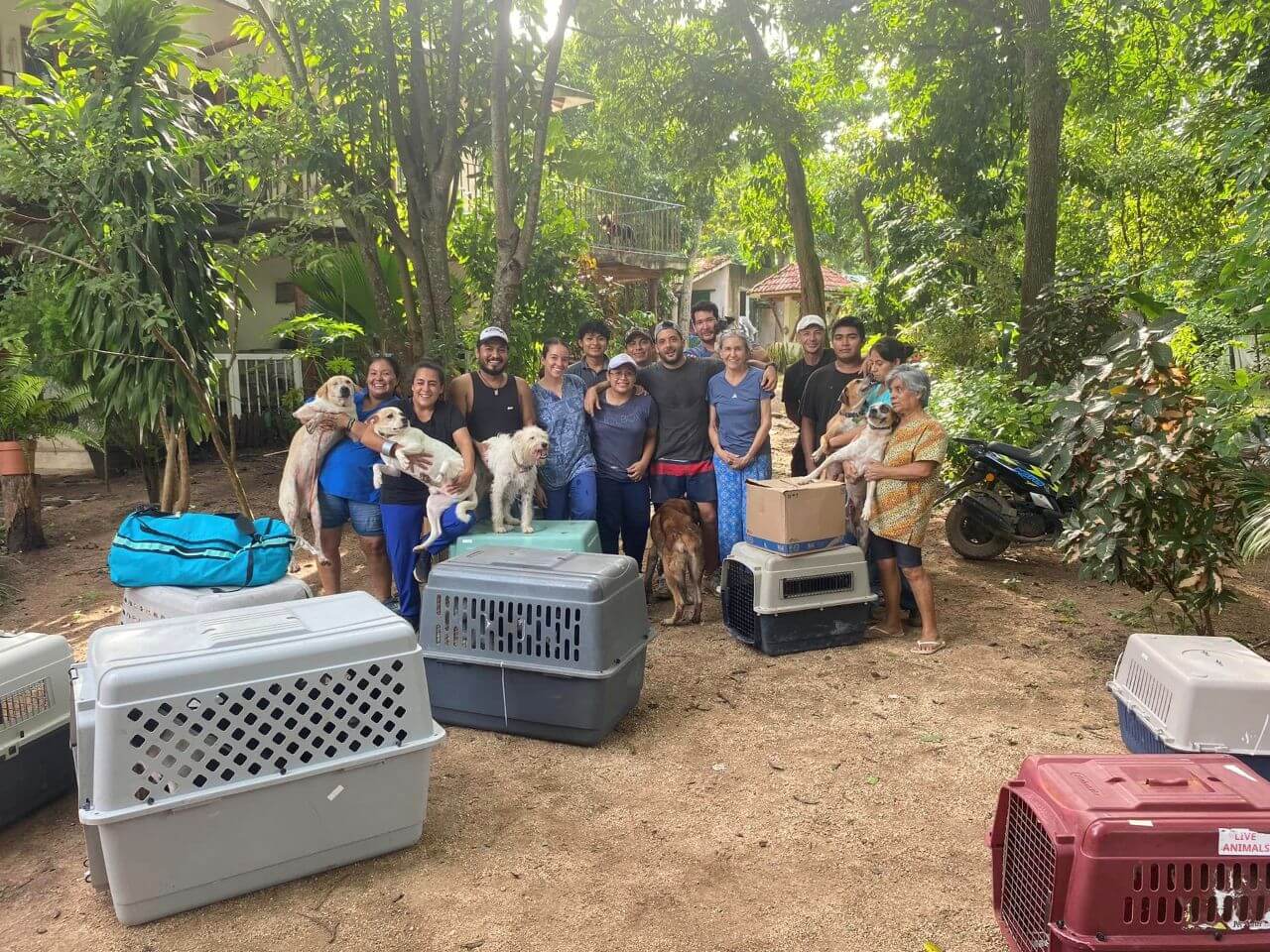 Logo des Refugio Animal Holbox